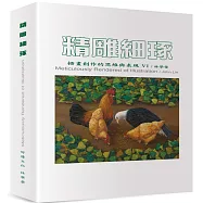 精雕細琢：插畫創作的思維與表現VI