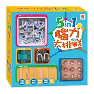 5in1腦力大挑戰桌遊 NEW：(內含孔明鎖+M型環+井字棋+滾珠盒+疊疊樂+解法說明書)