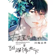 枝葉篩過的斑斕陽光下 2