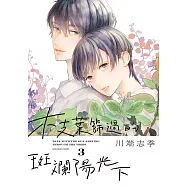 枝葉篩過的斑斕陽光下 3