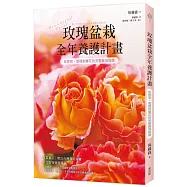 玫瑰盆栽全年養護計畫：從修剪、管理到爆花的完整栽培指南