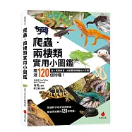 爬蟲&bull;兩棲類實用小圖鑑：精選120個物種!從人氣到稀有，找到最想飼養的小可愛