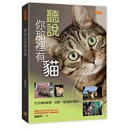 聽說你那裡有貓：生活裡的疲憊，是被一隻隻貓治癒的。