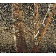 Johannes Brahms: Piano Works/ Emanuel Ax(艾克斯/ 布拉姆斯:鋼琴作品集)