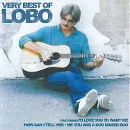 灰狼羅伯 / 金曲30年