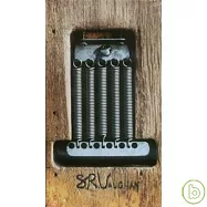 Stevie Ray Vaughan & Double Trouble / SRV (3CD+1DVD Boxset)