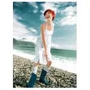 孫燕姿 / 完美的一天