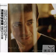 Patrick Bruel / Des Souvenirs Devant(派屈克布乃爾 / 追憶似水年華)