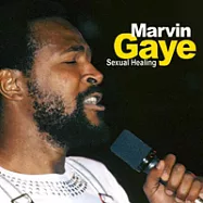 Marvin Gaye / Sexual Healing(馬文‧蓋伊 / 性靈療法)