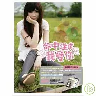 電視原聲帶 / 命中注定我愛你