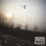 陳綺貞 / 失敗者的飛翔