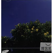 V.A./ Summer Jazz Collection(選輯 / 爵士的四季 - 夏天)