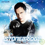 StoneBridge / The Flavour, The Vibe 3(史東布基 / 2009 浩室共振 第三輯)