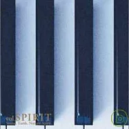 S.E.N.S. / 20TH Anniversary Vol. Spirit(神思者 / 成軍20週年四部曲 最終回：心靈)