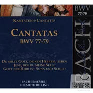 Johann Sebastian Bach : Cantatas Vol.25 (BWV 77/78/79)(巴哈 : 清唱劇 BWV 77、78 & 79)