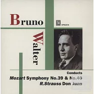 Bruno Walter/Mozart symphony / Bruno Walter(指揮家華爾特在歐陸時期的精華莫札特演出 / 華爾特)