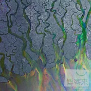 Alt-J / An Awesome Wave(三角樂團 / 驚濤駭浪)