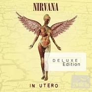 Nirvana / In Utero [20th Anniversary Deluxe Edition](超脫合唱團 / 母體【20週年2CD紀念盤】)