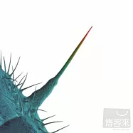 Peter Gabriel / And I’ll Scratch Yours(彼得蓋布瑞爾 / 回聲特選)