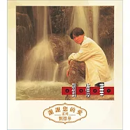 劉德華 / 一生一次