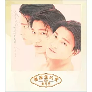 劉德華 / 愛意(粵語)