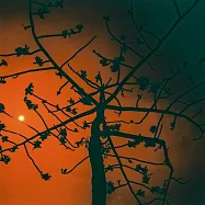 陳綺貞 / 旅行的意義 明信片套組 (4 pieces)