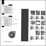 The Pixies / Doolittle 25 (180G 3LP)(小妖精樂團 / 小作一番 (180G 3LP黑膠唱片))