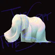 Salamander / The Copy of the Sun(沙羅曼蛇 / 太陽拷貝)