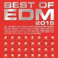 V.A. / BEST OF EDM 2015 (2CD)(夜電寶典神曲集 (2CD))