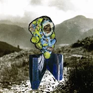 Richard Dawson / The Glass Trunk (2Vinyl)(李察唐森 / 玻璃軀幹 (2LP黑膠唱片))