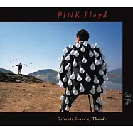 平克佛洛伊德 / 雷霆之聲：1987年演唱會實況(2016 2CD)(Pink Floyd / Delicate Sound of Thunder (Live)(2016 2CD))