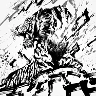 T.M.Revolution / RAIMEI (CD+DVD初回盤)(T.M.Revolution / RAIMEI)