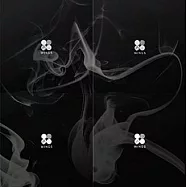 BTS防彈少年團 / WINGS第二張正規專輯 - W (CD)