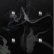 BTS防彈少年團 / WINGS第二張正規專輯 - G (CD)