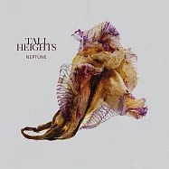 高個子樂團 / 海王星 (CD)(Tall Heights / Neptune)