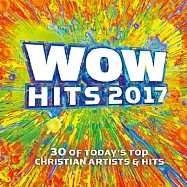 合輯 / WOW 2017經典排行超級金曲 (2CD)(V.A. / WOW HITS 2017 (2CD))