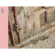 BTS 防彈少年團 / YOU NEVER WALK ALONE Right 版 (CD)