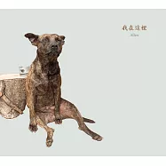 Allen / &ldquo;我在這裡&rdquo; (CD)