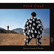 平克佛洛伊德 / 雷霆之聲：1987年演唱會實況(2017 2LP 黑膠唱片)(Pink Floyd / Delicate Sound of Thunder (Live) (2017 2Vinyl))