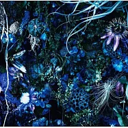 SUGIZO / ONENESS M (CD)