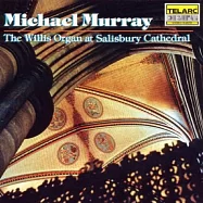 麥克慕瑞：索爾斯伯利大教堂管風琴的魅力(C1Michael Murray:Willis Organ at Sali)
