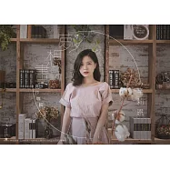 辛莉恩國語專輯夢想畫 CD