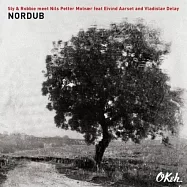 史萊 & 羅比 & 尼爾斯.佩特.摩瓦 / 奇想幻音 (180g 2LP黑膠唱片)(Sly & Robbie meet Nils Petter Molvaer feat. Eivind Aarset & Vladislav Delay / Nordub (180g Heavy Weight Vinyl) (Vinyl Longplay 33 1/3))