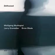 沃爾夫岡.馬斯俾爾 / 漂流木 (CD)(Wolfgang Muthspiel / Driftwood (CD))
