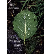 楊定一 / 《森林的靜坐》線上音頻兌換卡