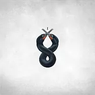聖費爾明 / 鵜鶘I (LP黑膠)(San Fermin / The Cormorant I (Vinyl))