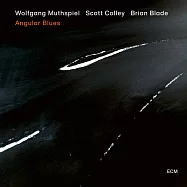 沃爾夫岡.馬斯俾爾：尖角藍調 (CD)(Wolfgang Muthspiel: Angular Blues)