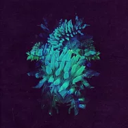 假耳朵【法蘭西弛放EDM電音王子】/ 波光粼粼.在夜幕低垂【法國地區獨佔盤-專案限額輸台首發】(Fakear / All Glows)