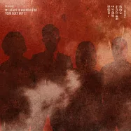 八十八顆芭樂籽 / 我的心正為你這個中年翹臀燃燒著!