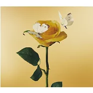 Aimyon[愛繆] / 聽說有好吃的義大利麵 (2CD初回版)